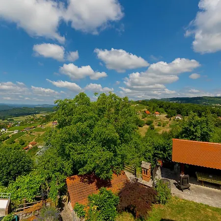 Vineyard Rustika Novo Mesto