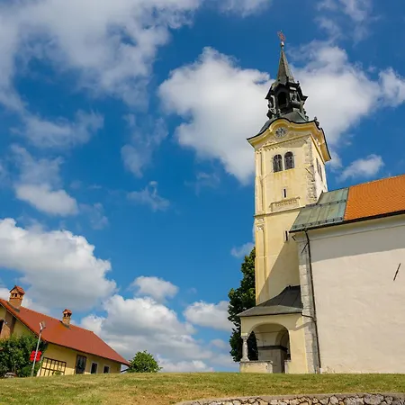 Vineyard Rustika Novo Mesto
