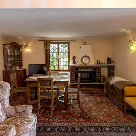 Vineyard Rustika Novo Mesto