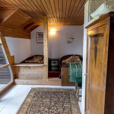 Vineyard Rustika Novo Mesto