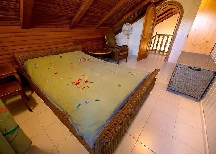 公寓 Vineyard Rustika 新梅斯托