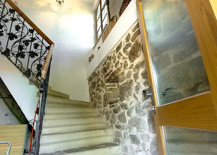 Vineyard Rustika * 新梅斯托